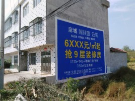 宿州市墙体广告质量分析